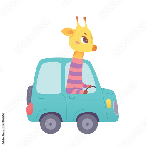 Cute giraffe riding car, funny zoo or jungle animal sitting at wheel of green vehicle