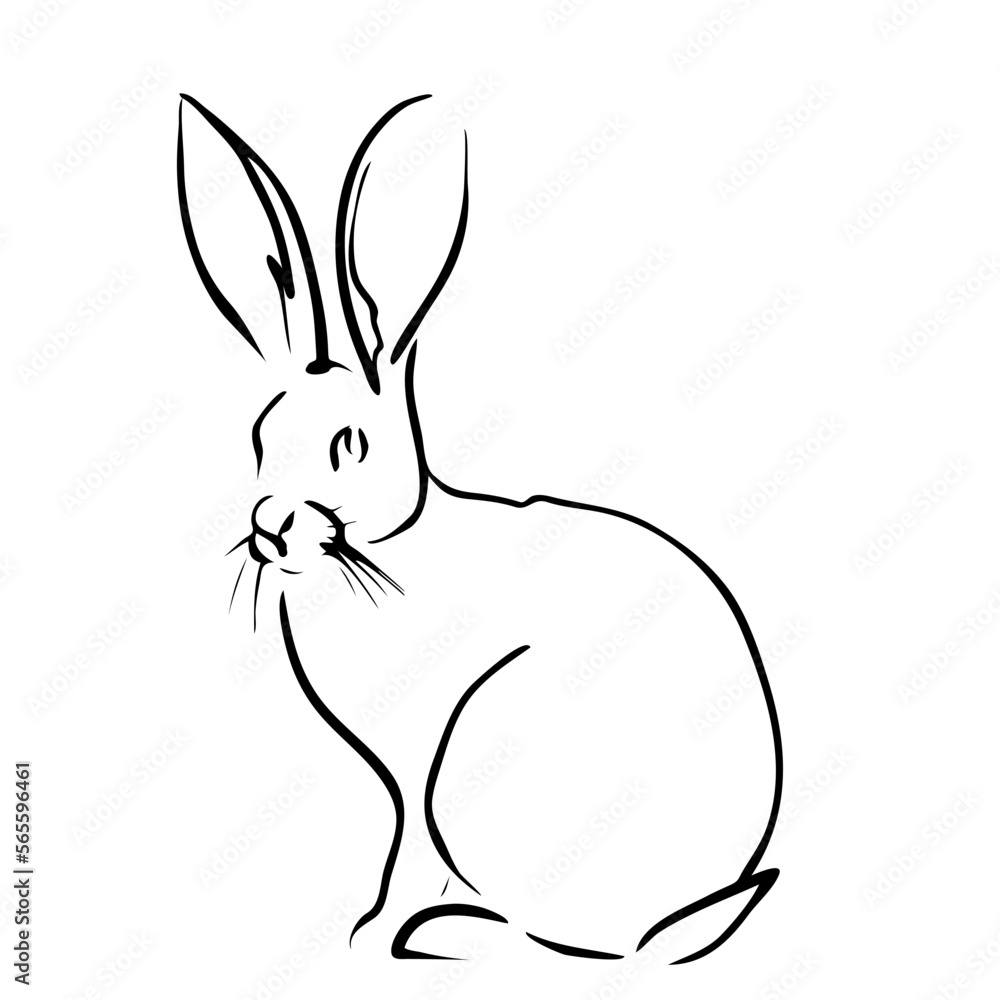 Rabbit portrait drawn in ink, vector illustration, quick sketch, line art Rabbit portrait drawn in ink, vector illustration, quick sketch, line art