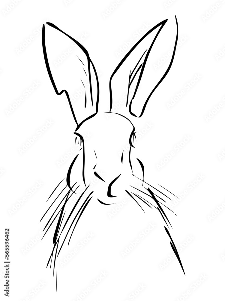 Rabbit portrait drawn in ink, vector illustration, quick sketch, line art