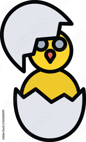 Photography Chickling Vector Icon