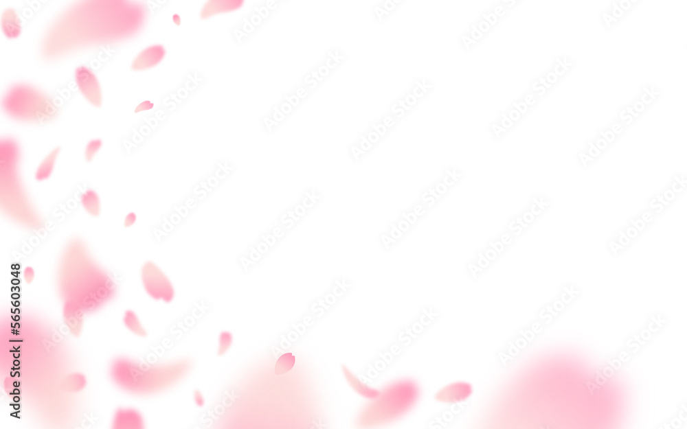 Cherry blossom petals blowing in the wind on a transparent background. Cherry blossom season, spring. - obrazy, fototapety, plakaty 