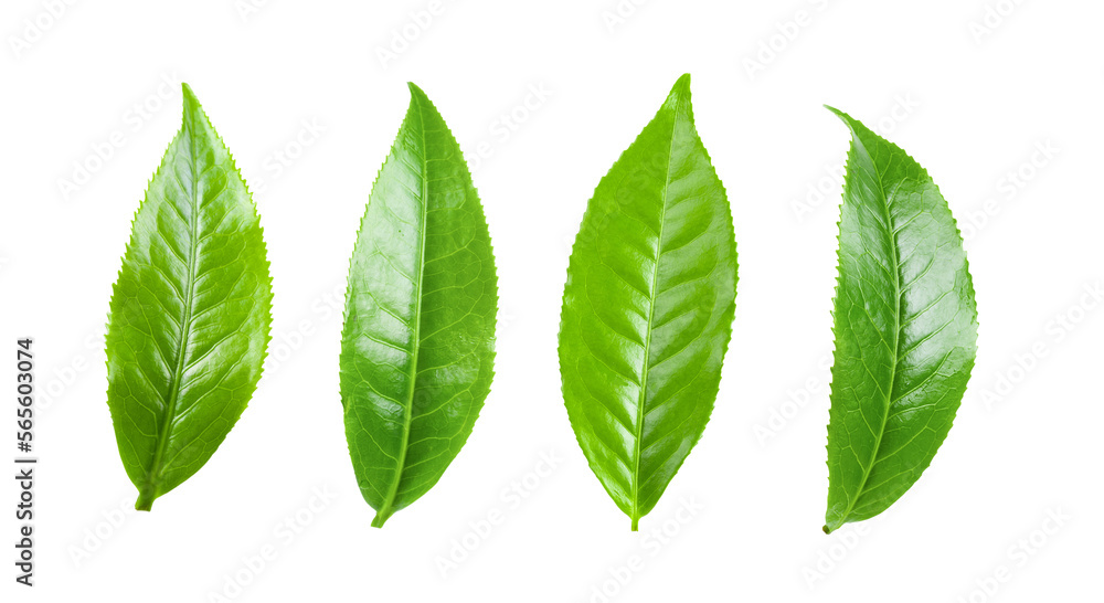 Tea leaves isolated on transparent png