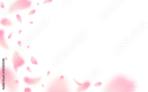 Valokuvatapetti Cherry blossom petals blowing in the wind on a transparent background