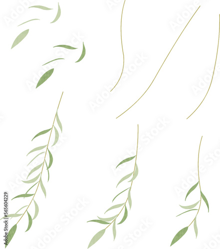 柳のイラスト