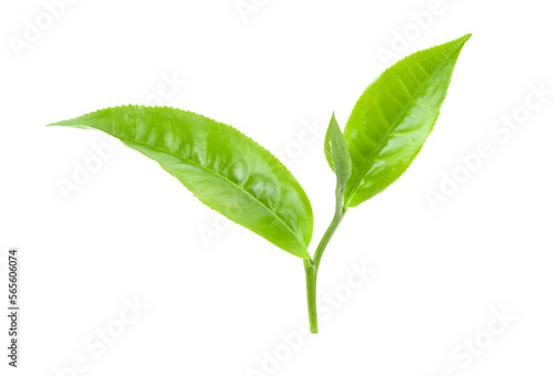tea leaves isolated on transparent png