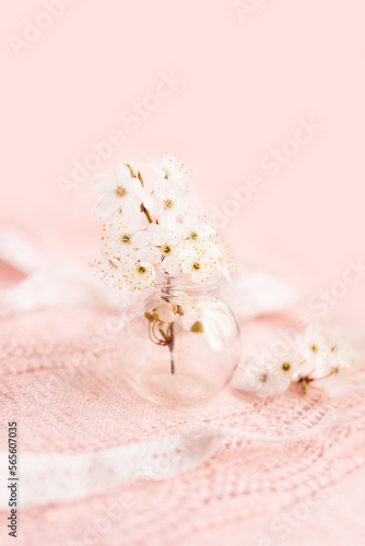 Spring background with a beautiful pink flowering branch. Pastel pink background, delicate flowers bloom. 