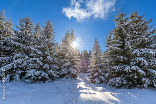 Winter im Erzgebirge