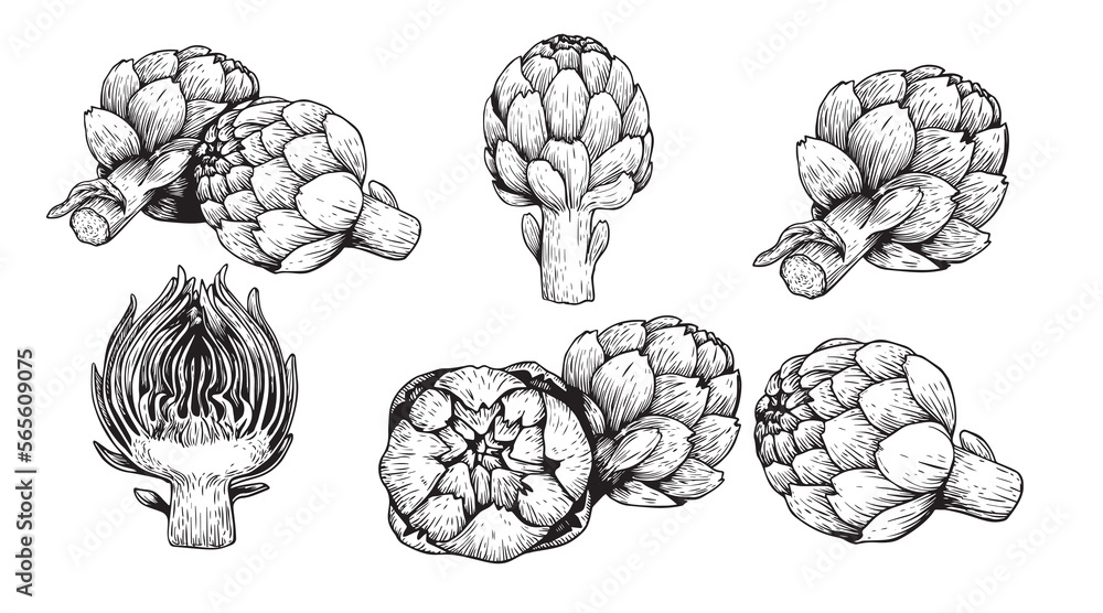 Artichoke sketch style set. Vegetables set hand drawn in vintage engraving style. Best for package and menu designs. Vector illustration Artichoke sketch style set. Vegetables set hand drawn in vintage engraving style. Best for package and menu designs. Vector illustration