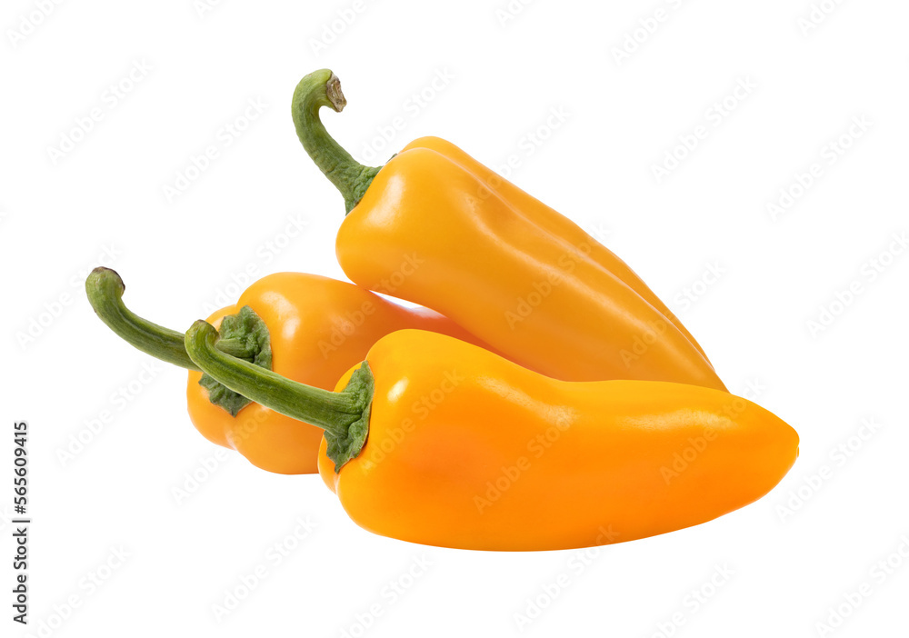 orange peppers(capsicum) on transparent png orange peppers(capsicum) on transparent png