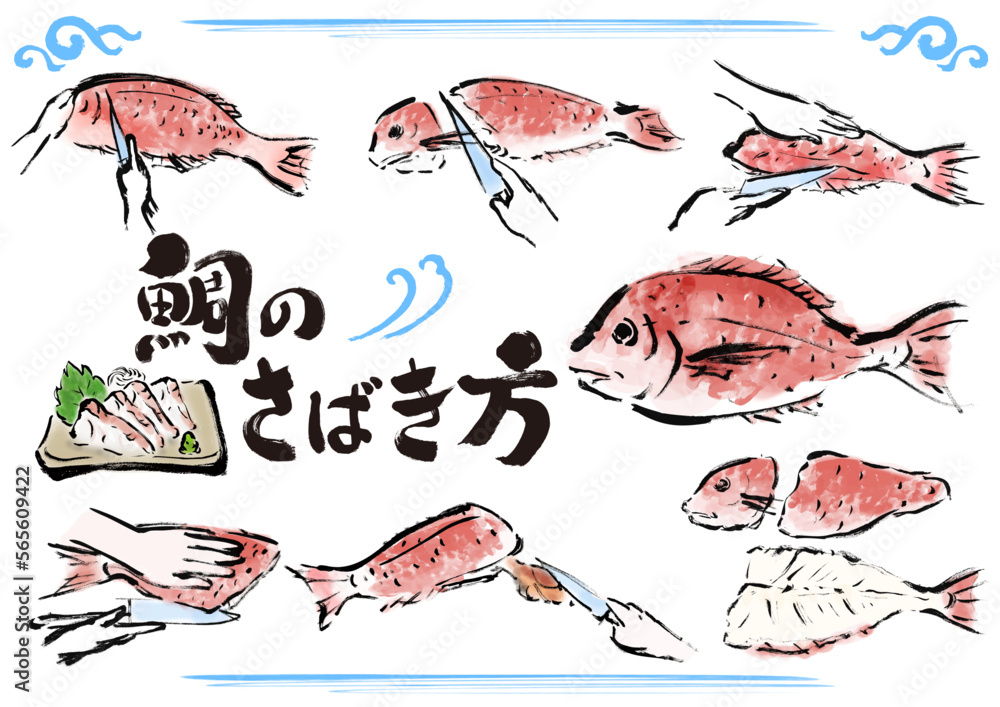 鯛のさばき方 魚をさばく手順 手描き和風イラストセット Stock Vector | Adobe Stock