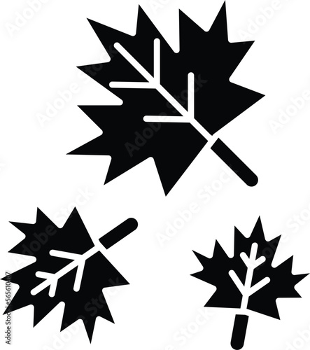 Leaf Vector Icon
