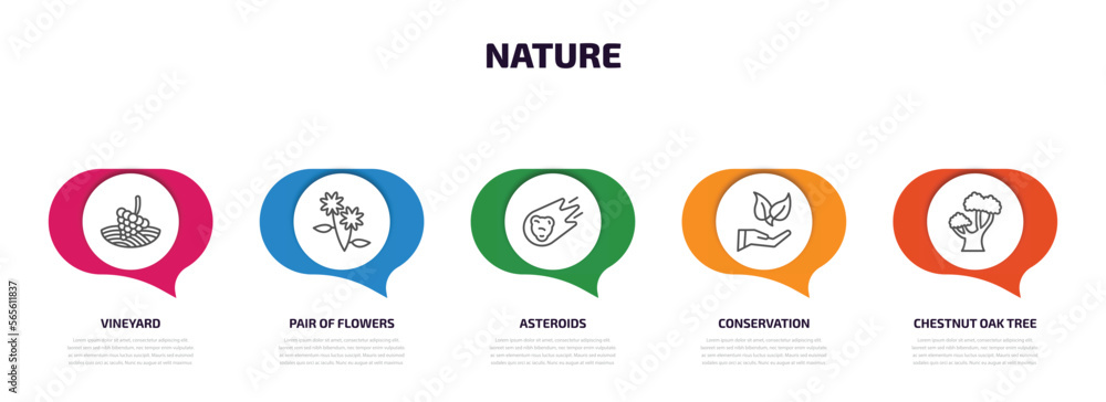 nature infographic element with outline icons and 5 step or option. nature icons such as vineyard, pair of flowers, asteroids, conservation, chestnut oak tree vector. nature infographic element with outline icons and 5 step or option. nature icons such as vineyard, pair of flowers, asteroids, conservation, chestnut oak tree vector.