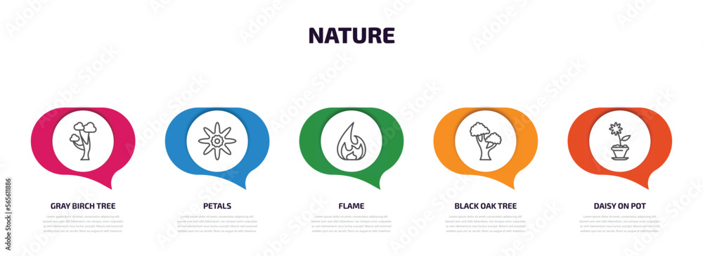 nature infographic element with outline icons and 5 step or option. nature icons such as gray birch tree, petals, flame, black oak tree, daisy on pot vector. nature infographic element with outline icons and 5 step or option. nature icons such as gray birch tree, petals, flame, black oak tree, daisy on pot vector.