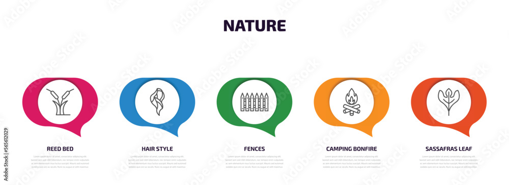 nature infographic element with outline icons and 5 step or option. nature icons such as reed bed, hair style, fences, camping bonfire, sassafras leaf vector. nature infographic element with outline icons and 5 step or option. nature icons such as reed bed, hair style, fences, camping bonfire, sassafras leaf vector.