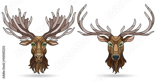 A set of stained glass items, stained glass with animal heads, a deer and a elk , isolates on white background