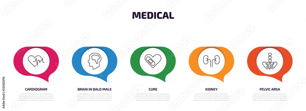 medical infographic element with outline icons and 5 step or option. medical icons such as cardiogram, brain in bald male head, cure, kidney, pelvic area vector. medical infographic element with outline icons and 5 step or option. medical icons such as cardiogram, brain in bald male head, cure, kidney, pelvic area vector.