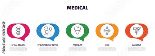 medical infographic element with outline icons and 5 step or option. medical icons such as spinal column, syrup medicine bottle, premolar, knee, caduceus vector.