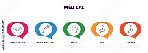 medical infographic element with outline icons and 5 step or option. medical icons such as hospital bed side view, dosage medical tool, molar, stoh, esophagus vector.