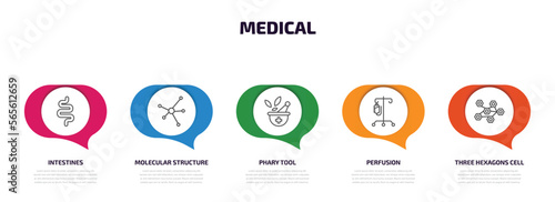 medical infographic element with outline icons and 5 step or option. medical icons such as intestines, molecular structure, phary tool, perfusion, three hexagons cell vector.