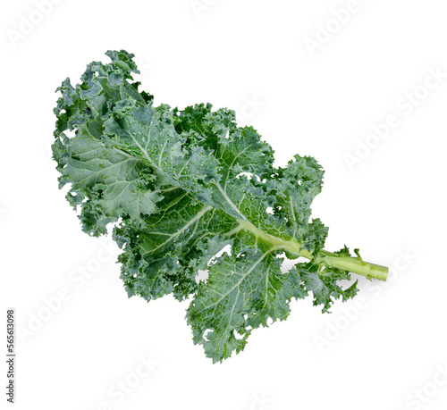 Fresh kale with water drops isolated on transparent background (.PNG)
