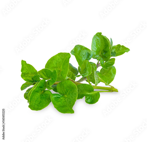 Foto Fresh watercress isolated on transparent background (.PNG)