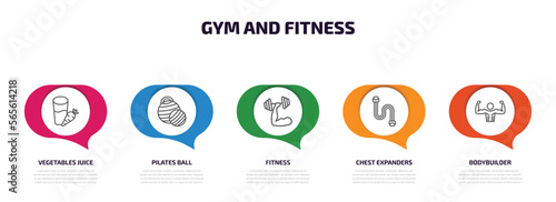 gym and fitness infographic element with outline icons and 5 step or option. gym and fitness icons such as vegetables juice, pilates ball, fitness, chest expanders, bodybuilder vector.