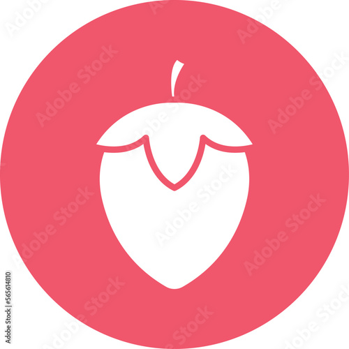 Hazelnut Vector Icon
