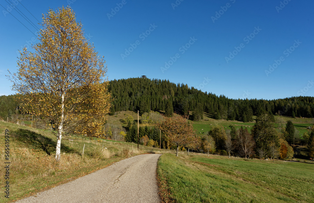 Deutschland - Baden-Württemberg - Schluchseer Jägersteig Deutschland - Baden-Württemberg - Schluchseer Jägersteig