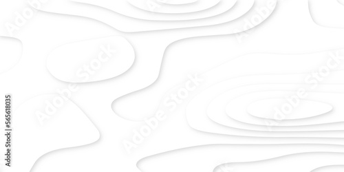 Abstract white papercut background with waves. Topographic canyon geometric map relief texture with curved layers and shadow. wavy line 3d paper cut white background.