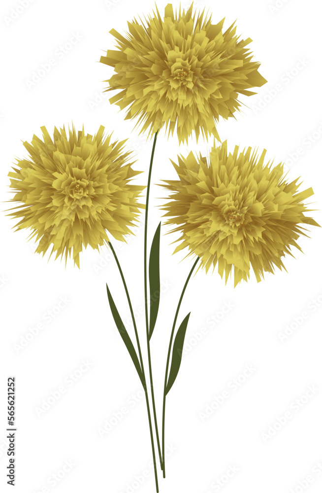 Three yellow flowers. Vector file for designs. Three yellow flowers. Vector file for designs.