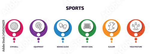 sports infographic element with outline icons and 6 step or option. sports icons such as gym ball, equipment, boxing glove, hockey goal, slalom, yoga posture vector.