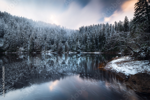 Winter sunset view of serene lake in the Black Forest, trees reflecting in the water, Southern Germany