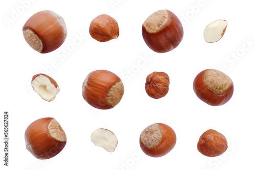 Hazelnuts set isolated on white background, top view. Seamless pattern with hazelnuts. Hazelnut isolated on white background, top view. Set of hazelnuts close-up, top view.