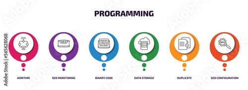 programming infographic element with outline icons and 6 step or option. programming icons such as aorithm  seo monitoring  binary code  data storage  duplicate  seo configuration vector.