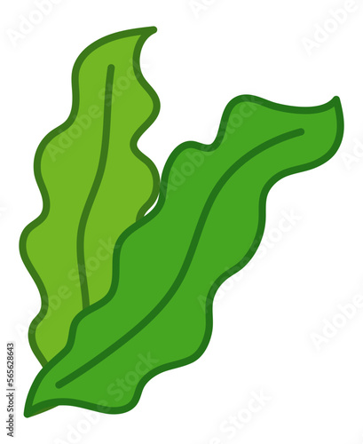 海藻
