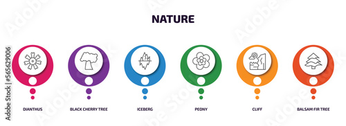 nature infographic element with outline icons and 6 step or option. nature icons such as dianthus, black cherry tree, iceberg, peony, cliff, balsam fir tree vector.