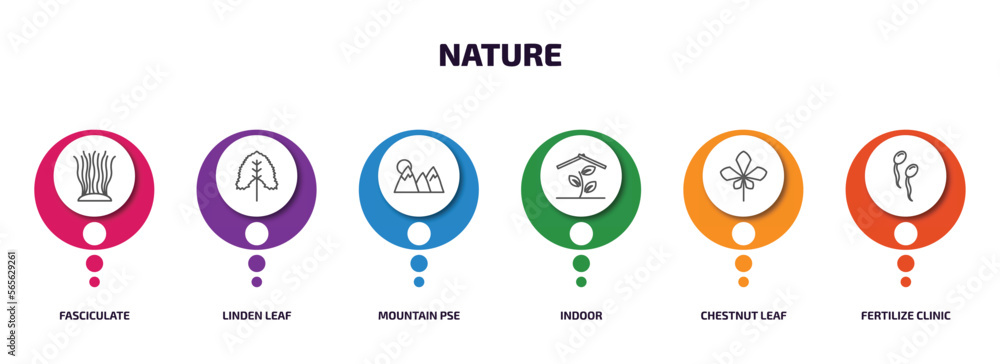 nature infographic element with outline icons and 6 step or option. nature icons such as fasciculate, linden leaf, mountain pse, indoor, chestnut leaf, fertilize clinic vector. nature infographic element with outline icons and 6 step or option. nature icons such as fasciculate, linden leaf, mountain pse, indoor, chestnut leaf, fertilize clinic vector.
