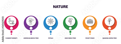 nature infographic element with outline icons and 6 step or option. nature icons such as flower therapy, american beech tree, petals, gray birch tree, picket fence, quaking aspen tree vector.