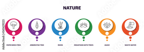 nature infographic element with outline icons and 6 step or option. nature icons such as paper birch tree, arborvitae tree, reeds, mountains with trees, agave, waste water vector.