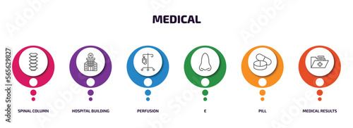 medical infographic element with outline icons and 6 step or option. medical icons such as spinal column, hospital building front, perfusion, e, pill, medical results folders vector.