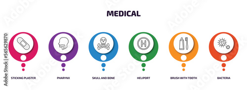 medical infographic element with outline icons and 6 step or option. medical icons such as sticking plaster, pharynx, skull and bone, heliport, brush with tooth paste, bacteria vector.