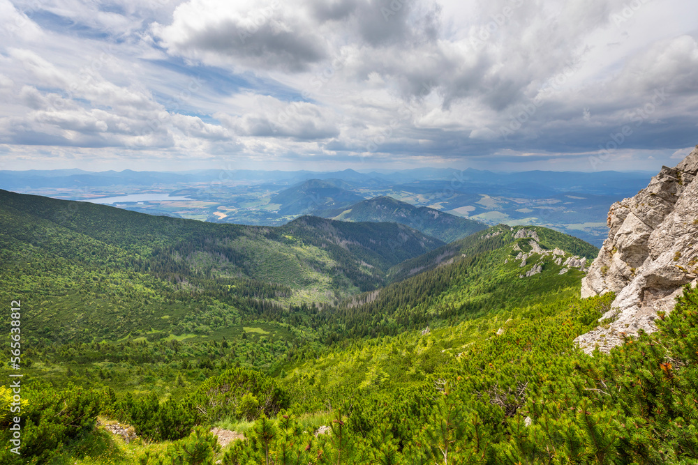 Naklejka premium landscape in the summer, slovakia
