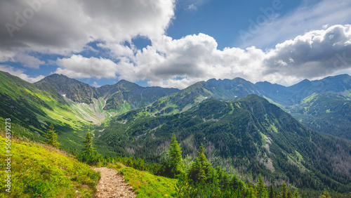 landscape in mountains during summer © Samuel
