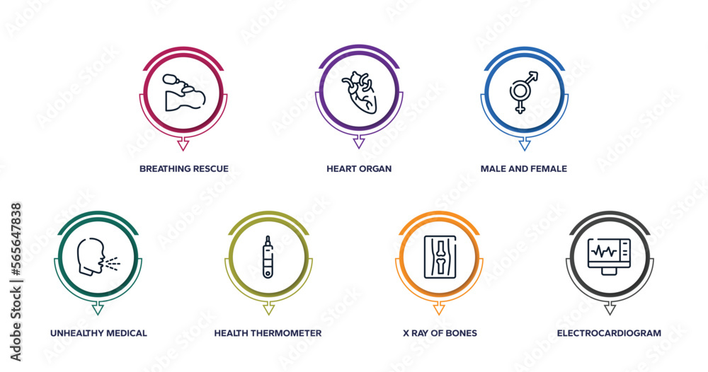 in the hospital outline icons with infographic template. thin line icons such as breathing rescue, heart organ, male and female, unhealthy medical condition, health thermometer, x ray of bones, in the hospital outline icons with infographic template. thin line icons such as breathing rescue, heart organ, male and female, unhealthy medical condition, health thermometer, x ray of bones,