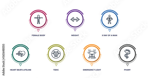 medical icons outline icons with infographic template. thin line icons such as female body, weight, x ray of a man, heart beats lifeline in a heart, toxic, emergency light, phary vector.