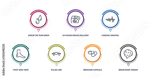 body parts outline icons with infographic template. thin line icons such as sweat or tear drop, 24 hours drugs delivery, cardiac graphic, foot side view, pulse line, medicine capsule, brain body