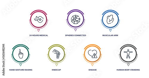body parts outline icons with infographic template. thin line icons such as 24 hours medical assistance, spheres connected by lines, muscular arm, hand gesture raising the index finger, kneecap,