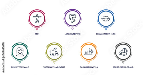medical icons outline icons with infographic template. thin line icons such as men, large intestine, female mouth lips, brunette female woman long hair, tooth with a dentist tool, bar graph with a