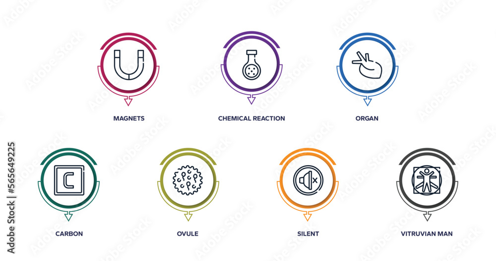 science outline icons with infographic template. thin line icons such as magnets, chemical reaction, organ, carbon, ovule, silent, vitruvian man vector. science outline icons with infographic template. thin line icons such as magnets, chemical reaction, organ, carbon, ovule, silent, vitruvian man vector.