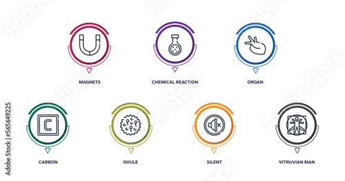 science outline icons with infographic template. thin line icons such as magnets, chemical reaction, organ, carbon, ovule, silent, vitruvian man vector.